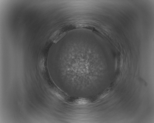 X0000068260219200604241240