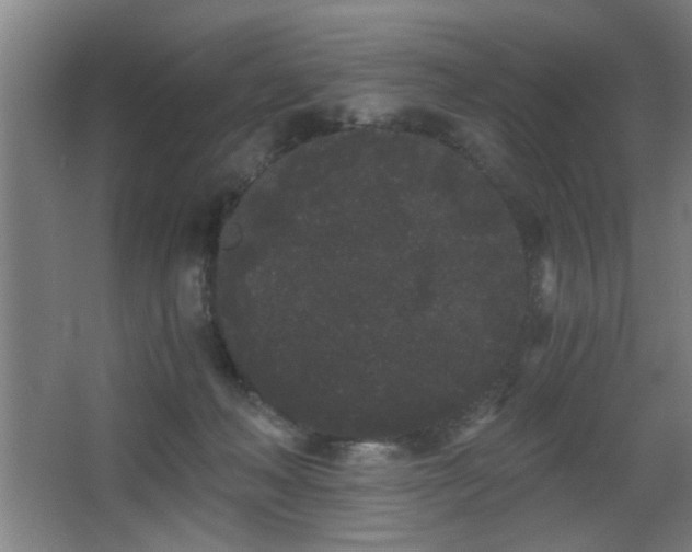 X0000068260222200604241240