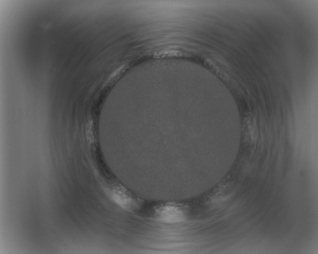 X0000068260224200604241240