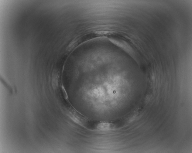 X0000068260227200604241240