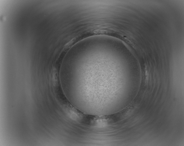 X0000068260228200604241240