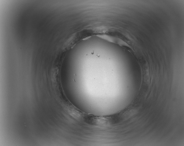 X0000068260229200604241240