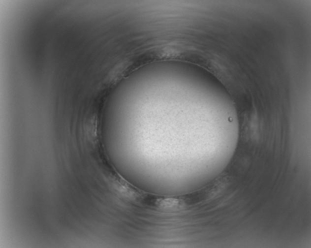 X0000068260230200604241240