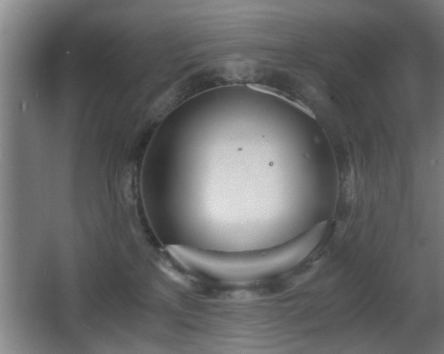 X0000068260233200604241240