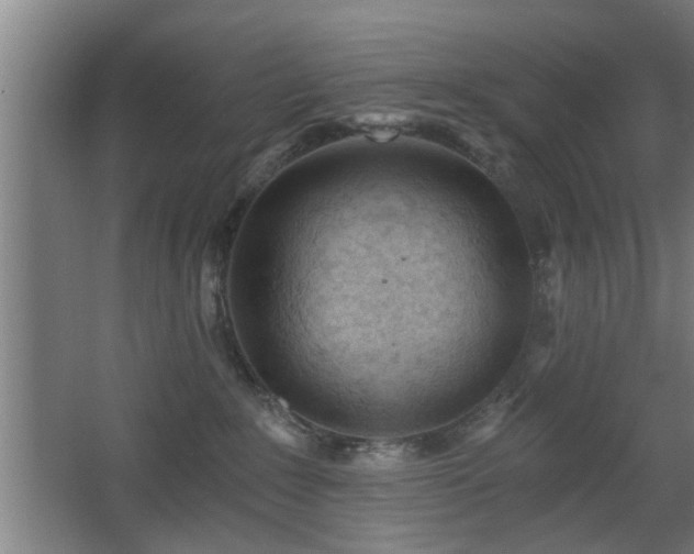 X0000068260235200604241240