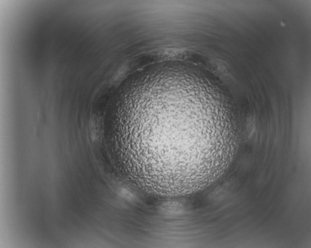 X0000068260236200604241240