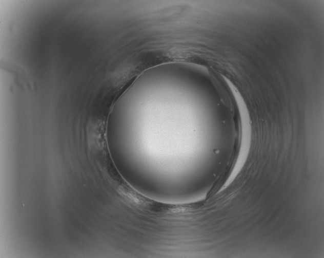 X0000068260237200604241240