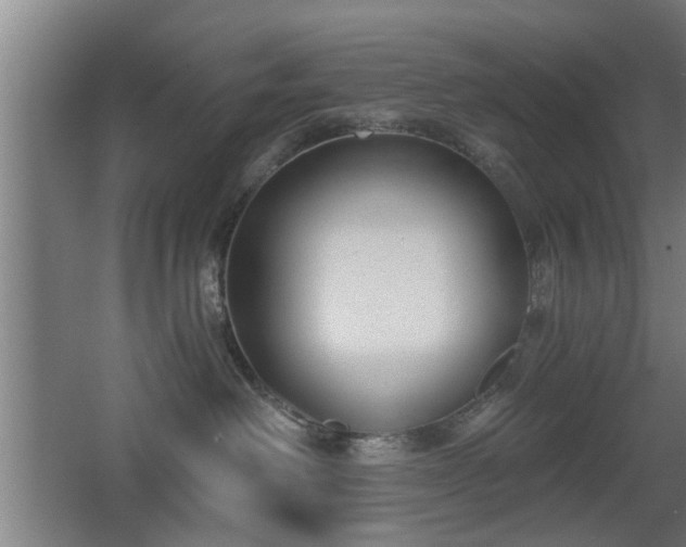 X0000068260238200604241240