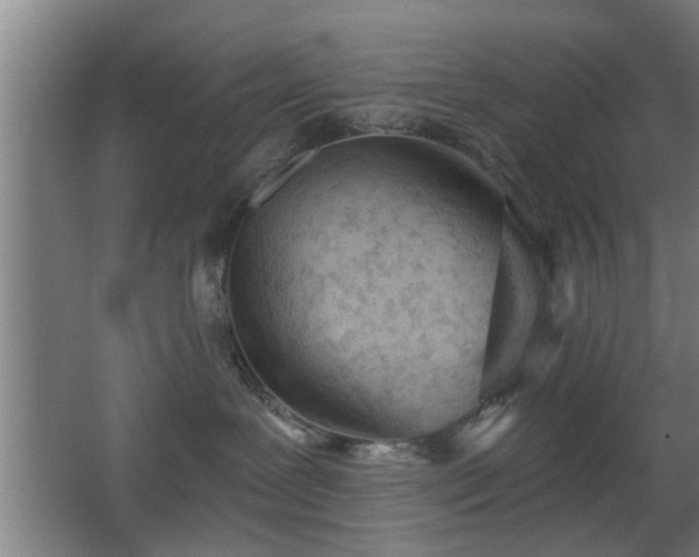 X0000068260239200604241240