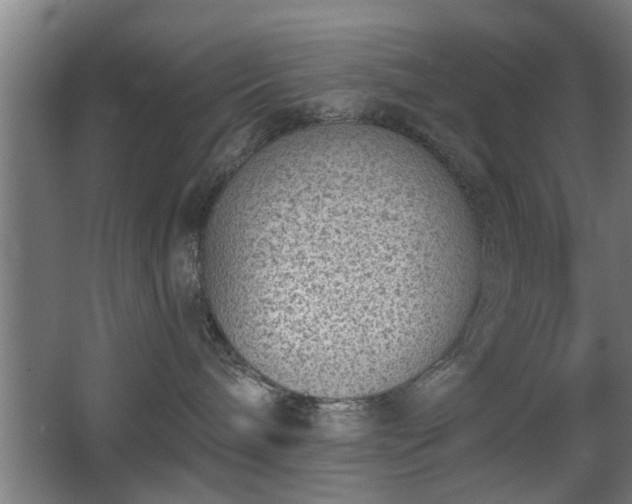 X0000068260240200604241240