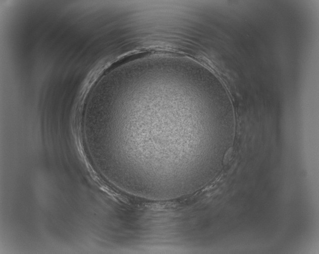 X0000068260241200604241239