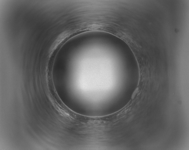 X0000068260242200604241239