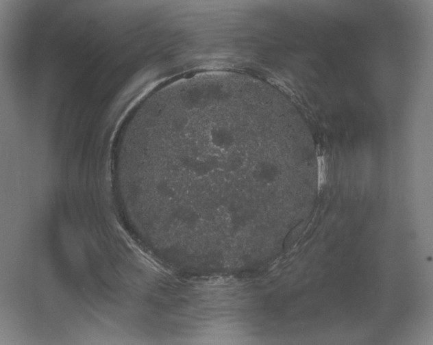 X0000068260243200604241239