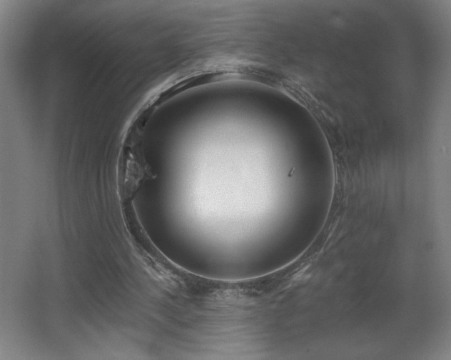 X0000068260244200604241239