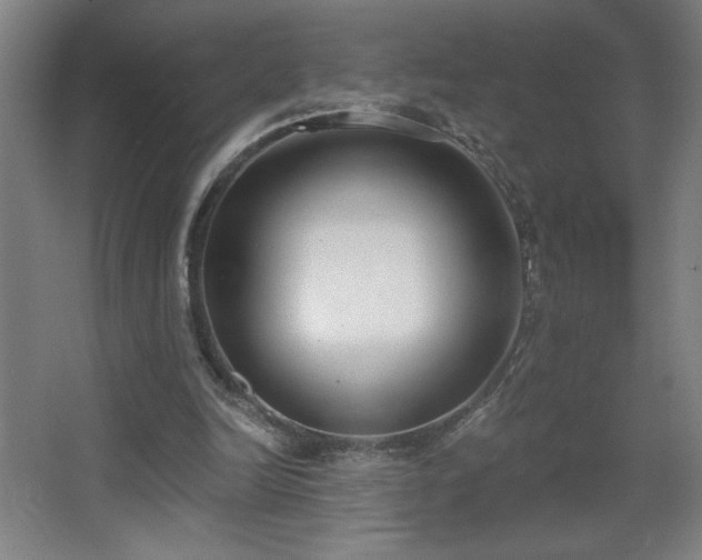 X0000068260246200604241239