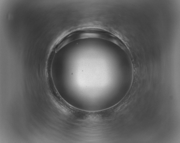 X0000068260248200604241239