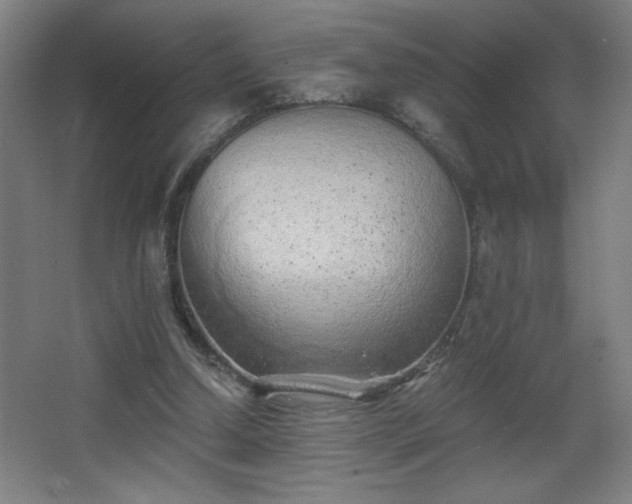 X0000068260250200604241239