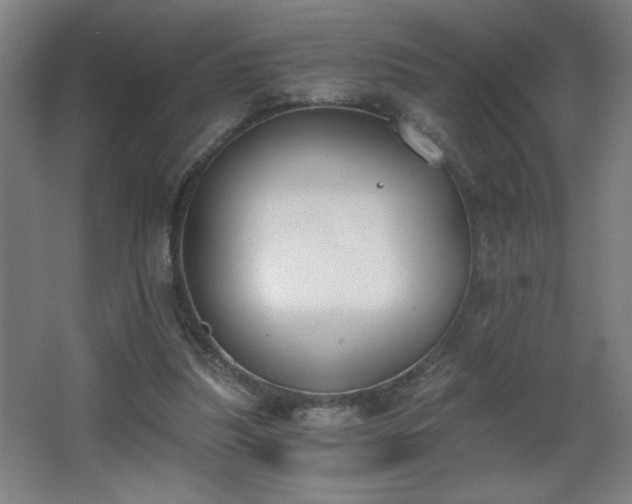 X0000068260251200604241239