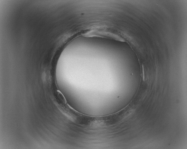 X0000068260252200604241239