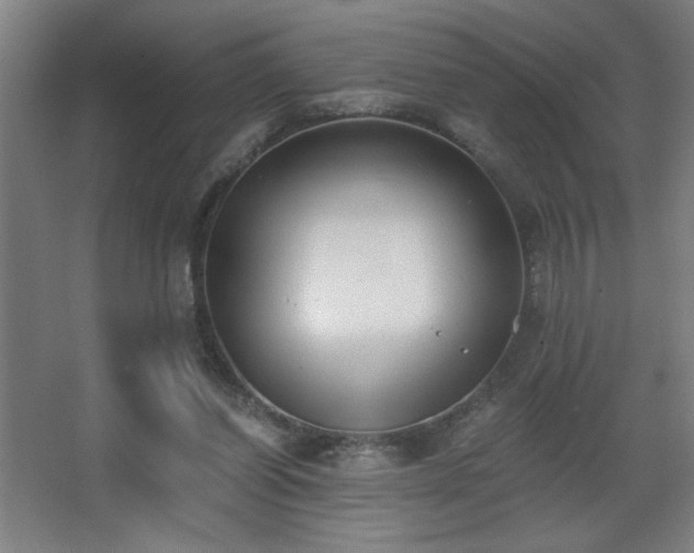 X0000068260254200604241239