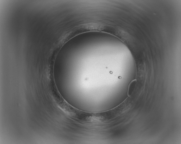 X0000068260255200604241239