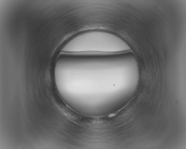 X0000068260256200604241239