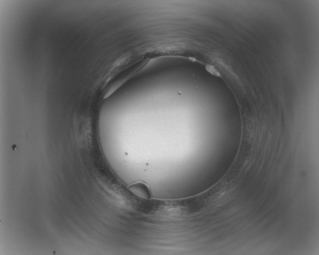 X0000068260260200604241239