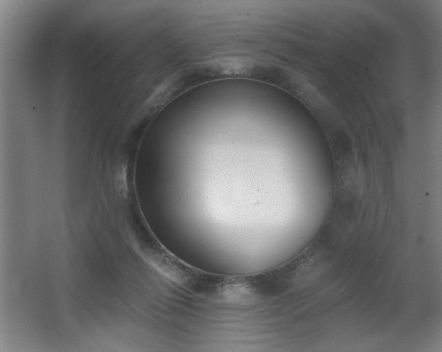 X0000068260262200604241239