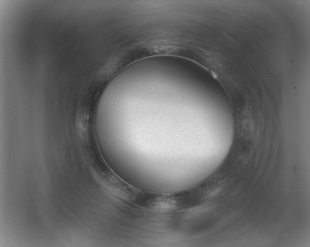 X0000068260263200604241239