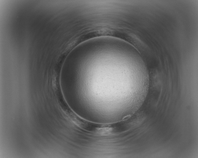 X0000068260266200604241239