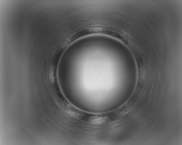 X0000068260267200604241239