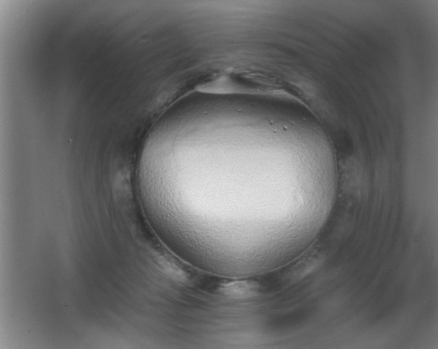 X0000068260269200604241239