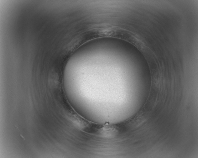 X0000068260270200604241239