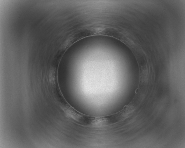 X0000068260274200604241239