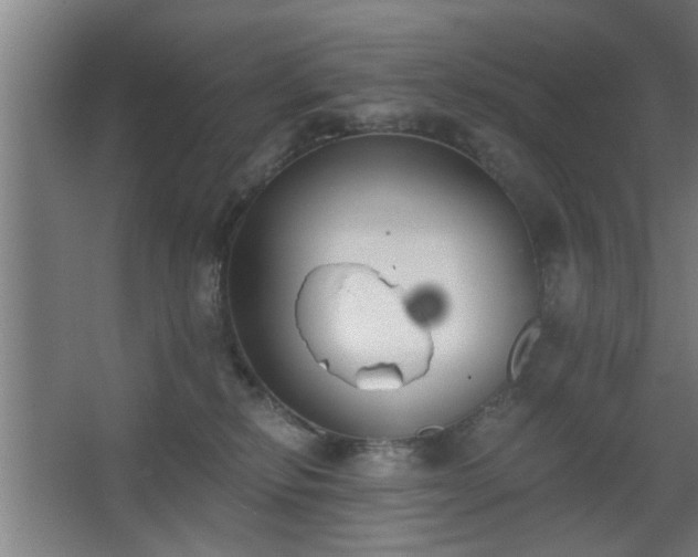 X0000068260278200604241239