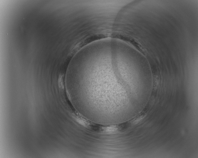 X0000068260286200604241240