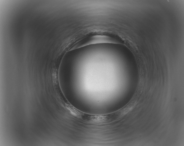 X0000068260288200604241240