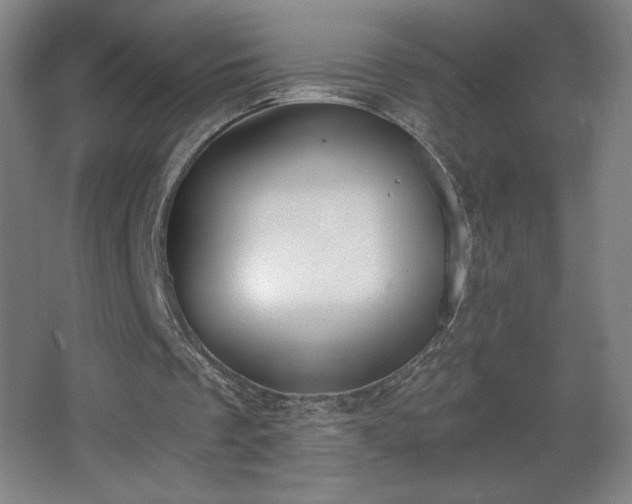 X0000068260289200604241239