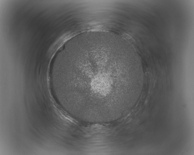 X0000068260290200604241239