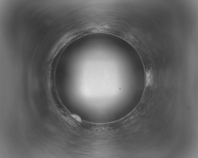 X0000068260291200604241239