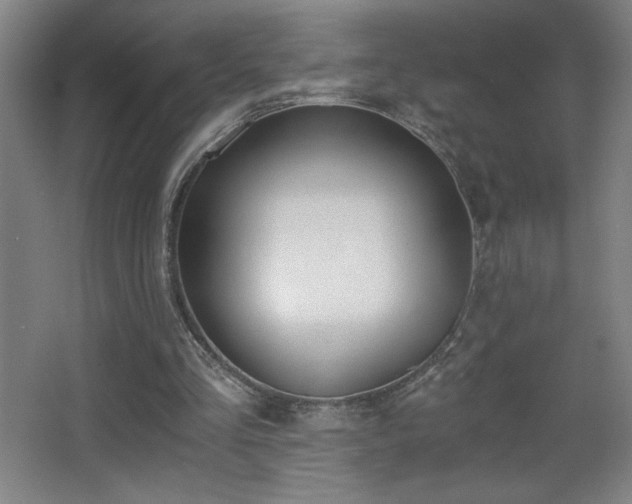 X0000068260293200604241239