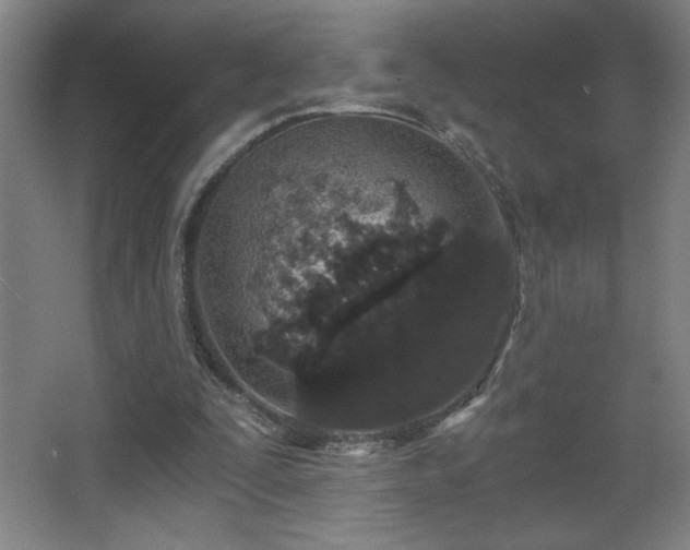 X0000068260295200604241239