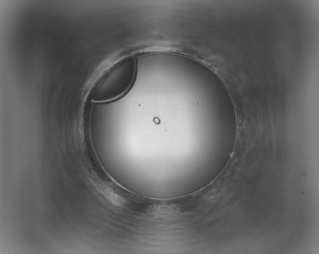 X0000068260296200604241239