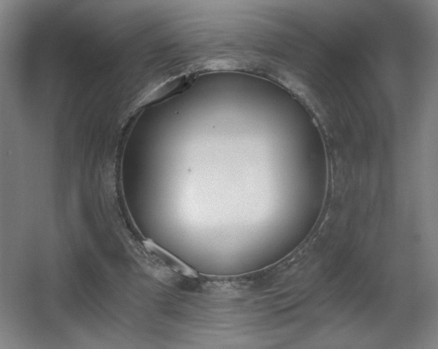 X0000068260297200604241239