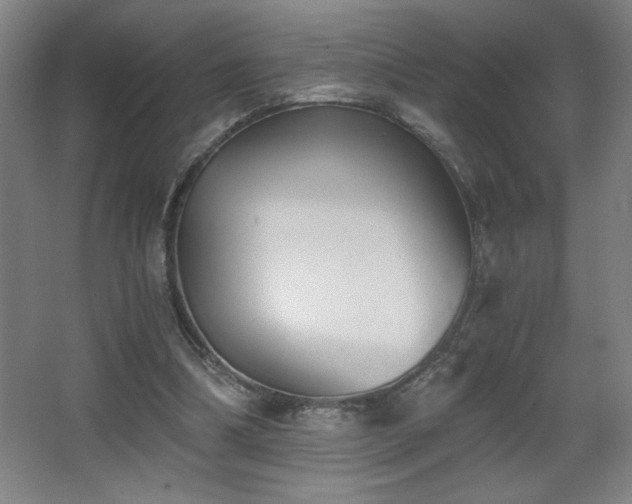 X0000068260298200604241239