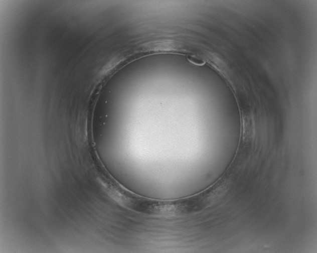 X0000068260301200604241239