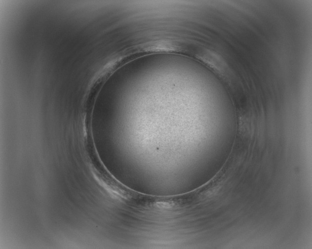 X0000068260302200604241239