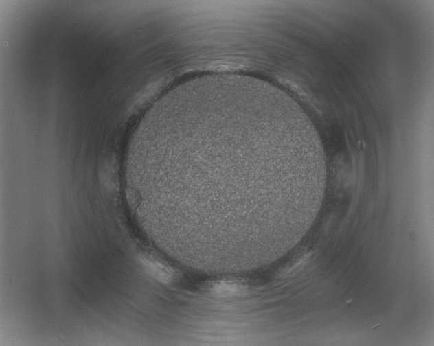 X0000068260303200604241238