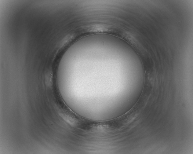 X0000068260304200604241238