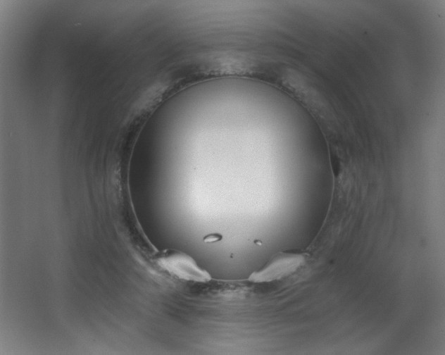 X0000068260306200604241238